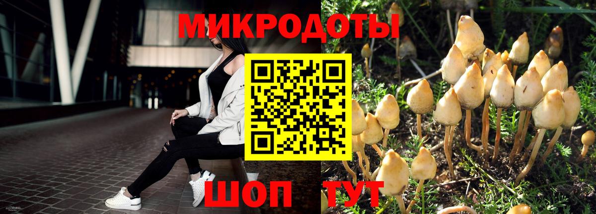 Алексеевка  где продают   Галлюциногенные грибы мухоморы  Вход с VPN  Псилоцибиновые грибы GOLDEN TEACHER 